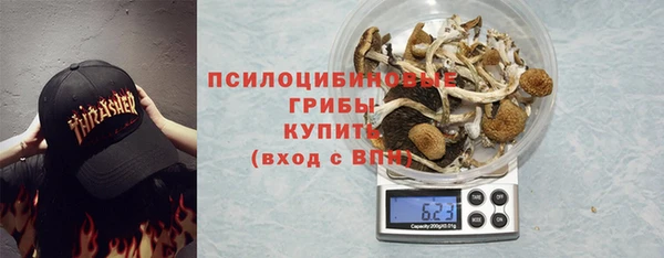 бошки Горняк