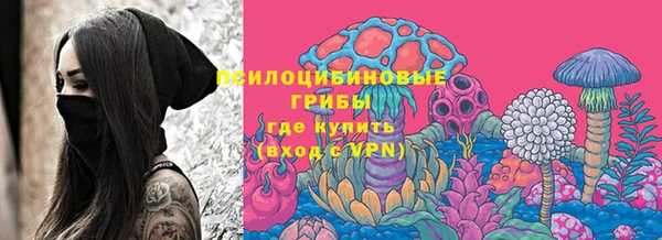 a pvp Горнозаводск