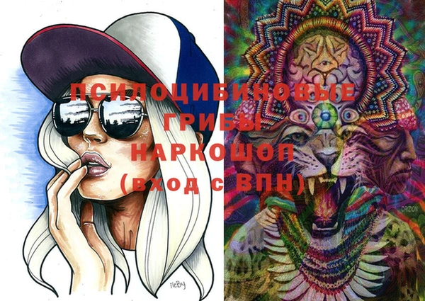 бошки Горняк